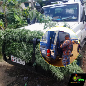 Web_Photo_Editor - 2025-11-10T110001.364