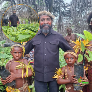 Web_Photo_Editor - 2025-11-19T083005.301