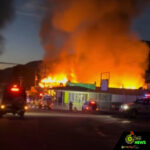 Web_Photo_Editor - 2025-12-19T153358.723