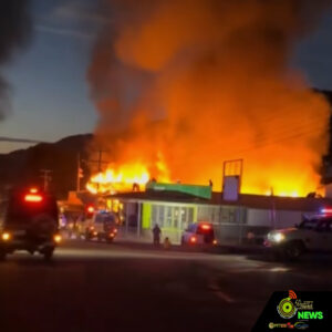 Web_Photo_Editor - 2025-12-19T153358.723