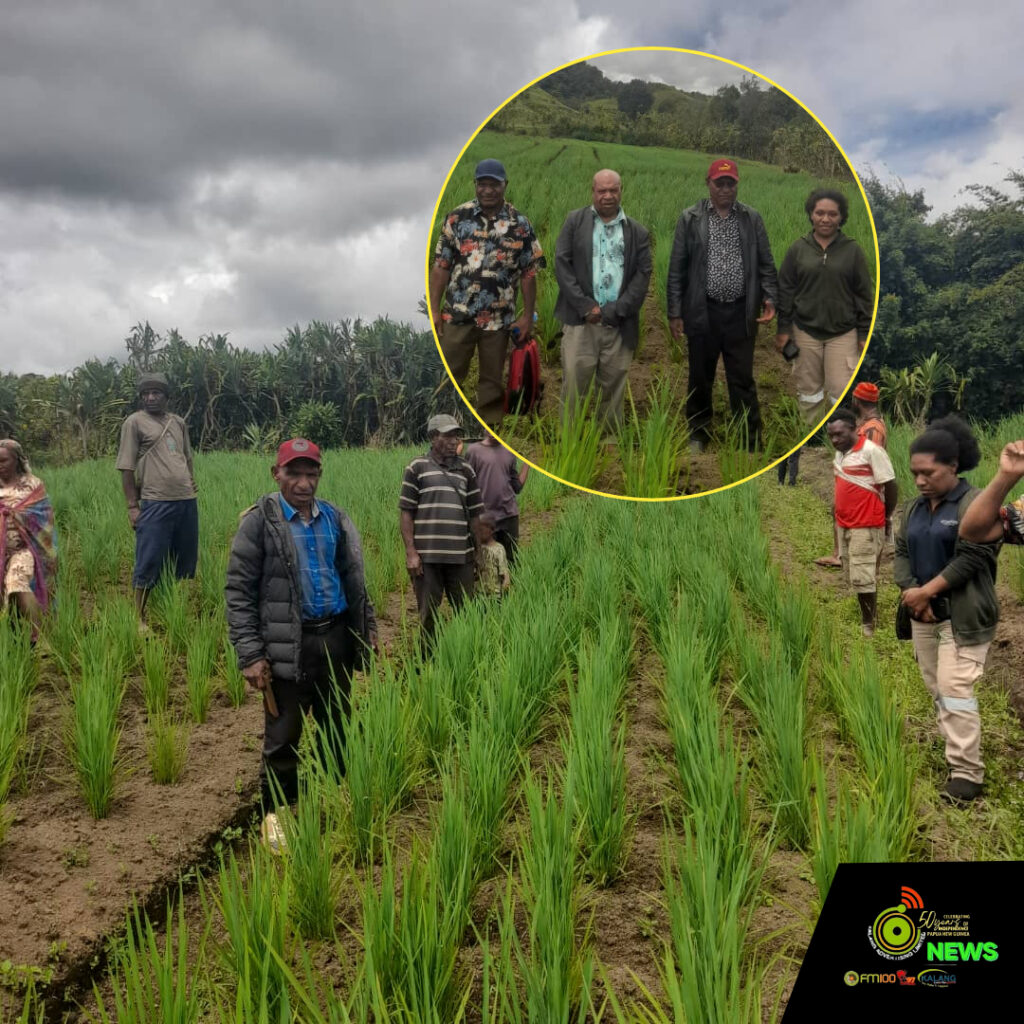 Web_Photo_Editor - 2026-01-10T141251.359