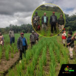 Web_Photo_Editor - 2026-01-10T141251.359