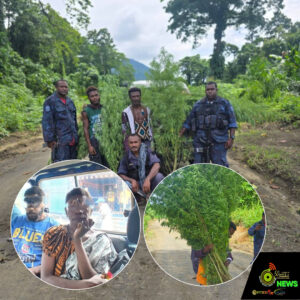 Web_Photo_Editor - 2026-01-17T121806.713