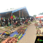 Web_Photo_Editor - 2026-01-19T143551.284