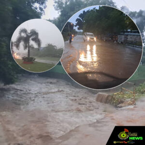 Web_Photo_Editor - 2026-01-22T152655.292