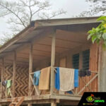 Web_Photo_Editor - 2026-01-23T113211.787