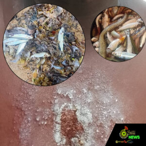 Web_Photo_Editor - 2026-02-04T175905.636