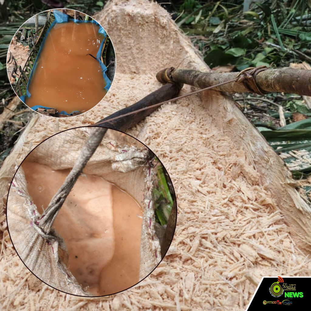 Web_Photo_Editor - 2026-02-10T090640.128