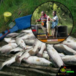 Web_Photo_Editor - 2026-02-16T151020.021