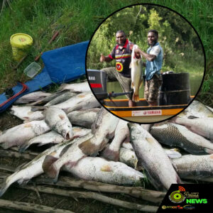 Web_Photo_Editor - 2026-02-16T151020.021