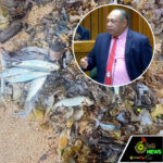 Web_Photo_Editor - 2026-03-19T103736.305