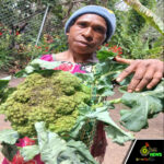 Web_Photo_Editor - 2026-03-30T130606.939