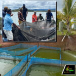 Web_Photo_Editor (10)