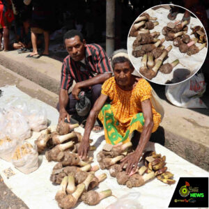 Web_Photo_Editor (30)