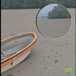 Untitled project (7)