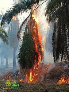 Web_Photo_Editor (42)